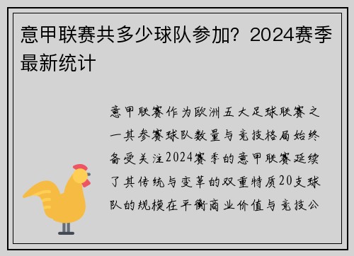 意甲联赛共多少球队参加？2024赛季最新统计